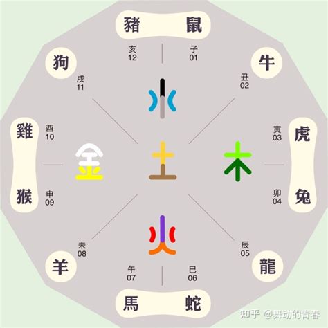 鹿五行属什么|鹿的五行属什么